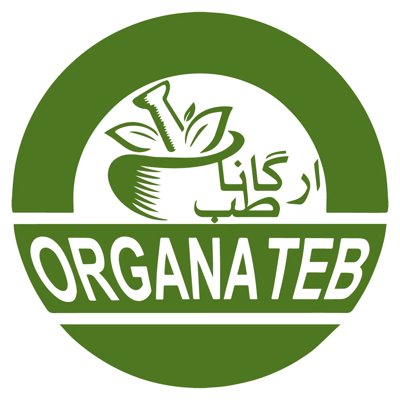 لوگو ارگانا